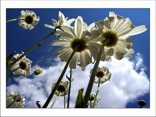 419081 (a): :1024x768